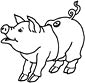 Pig coloring page