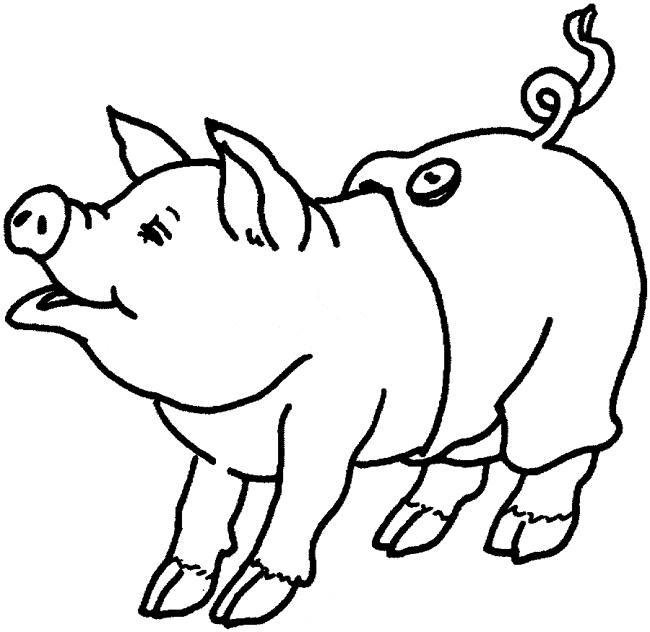 free Pig coloring page sheet