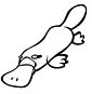 Platypus coloring page