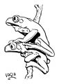 Poison Dart Frog coloring page