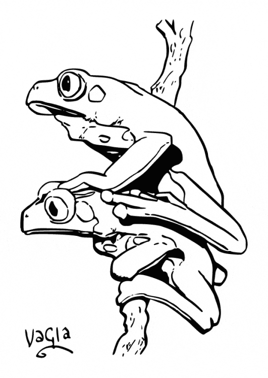 free Poison Dart Frog coloring page