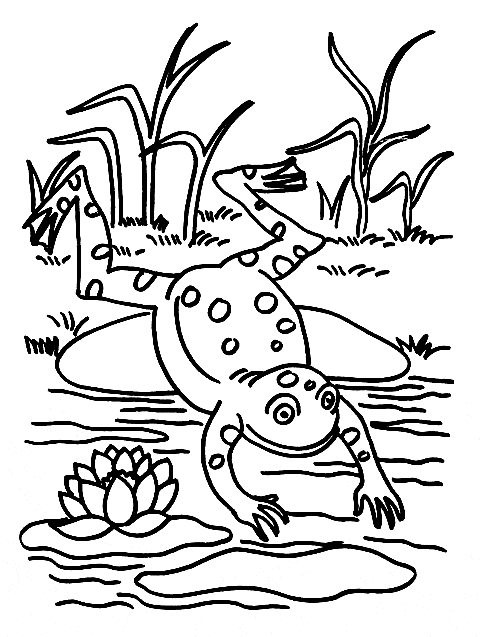 Download Poison Dart Frog coloring page - Animals Town - animals color sheet - Poison Dart Frog printable ...