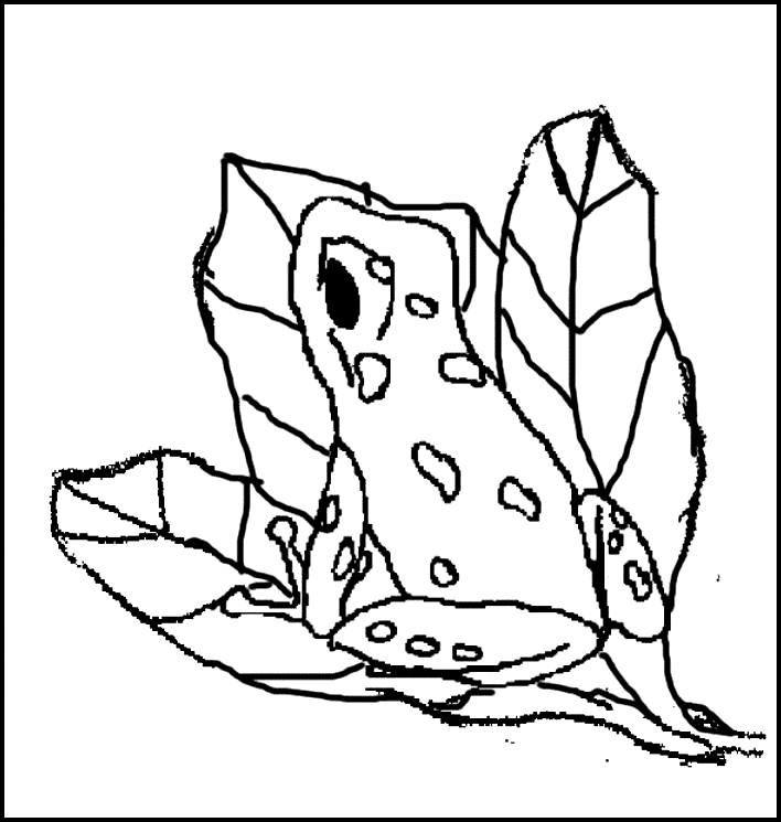 free Poison Dart Frog coloring page