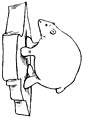 Polar Bear coloring page