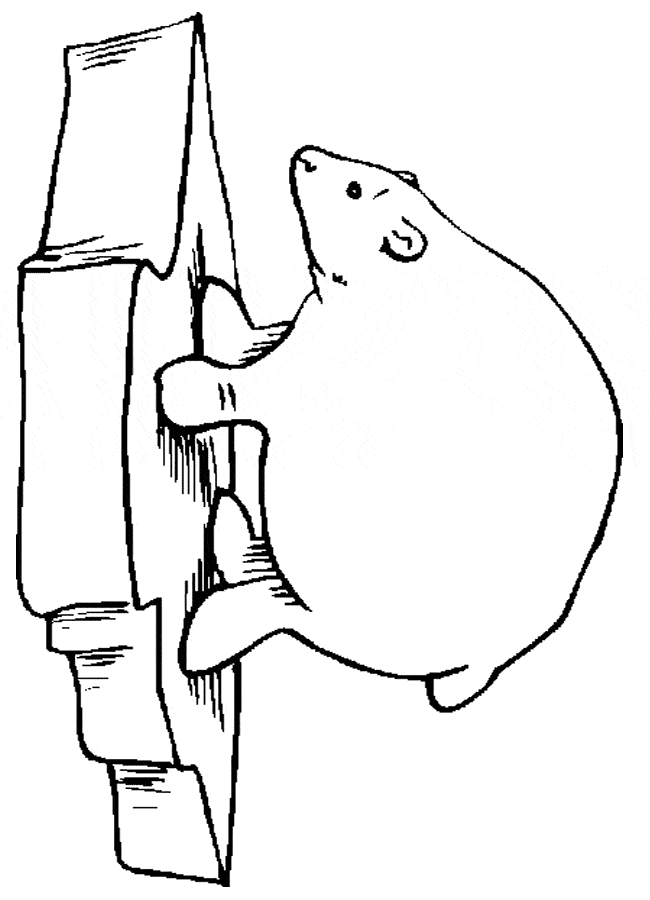 free Polar Bear coloring page