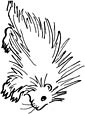 Porcupine coloring page