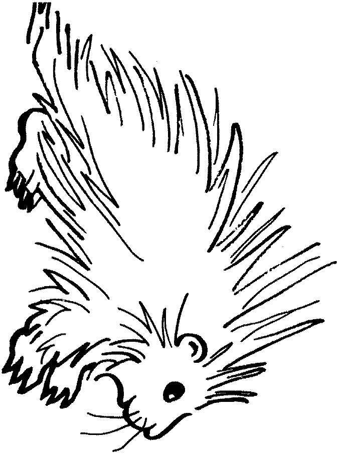 free Porcupine coloring page
