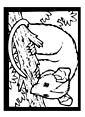 Possum coloring page