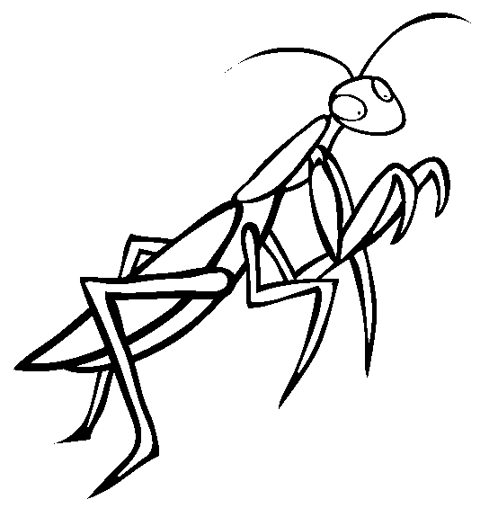 free Praying Mantis coloring page