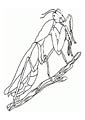 Praying Mantis coloring page