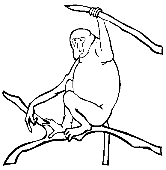 free Proboscis Monkey coloring page