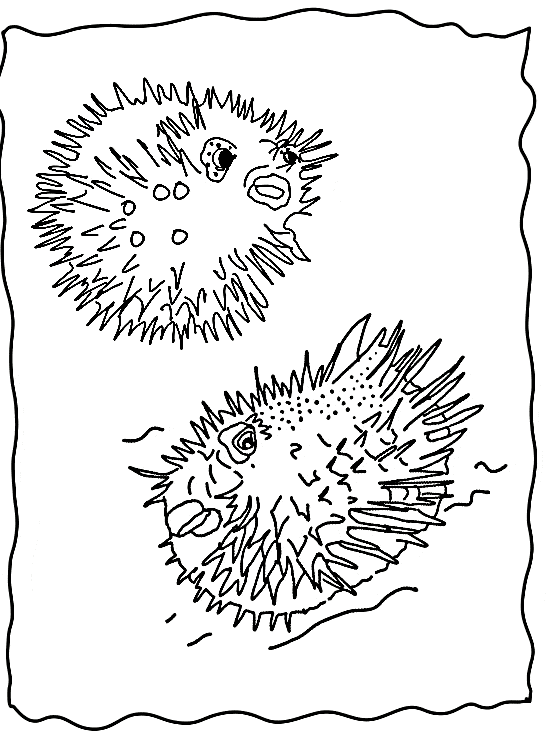 free Puffer coloring page