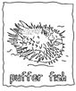 Puffer coloring page