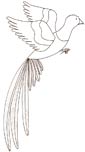 Quetzal coloring page