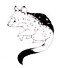 Quolls coloring page
