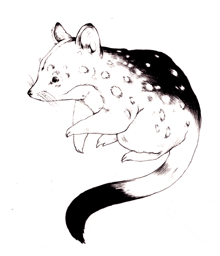 free Quolls coloring page