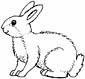 rabbit coloring sheet