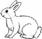 Rabbit coloring page