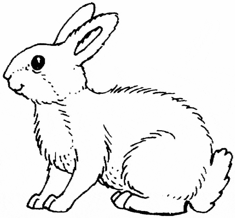 free Rabbit coloring page