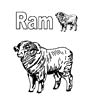 ram color page