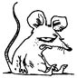 Rat coloring page