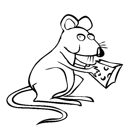 Rat coloring page - Animals Town - Animal color sheets Rat picture