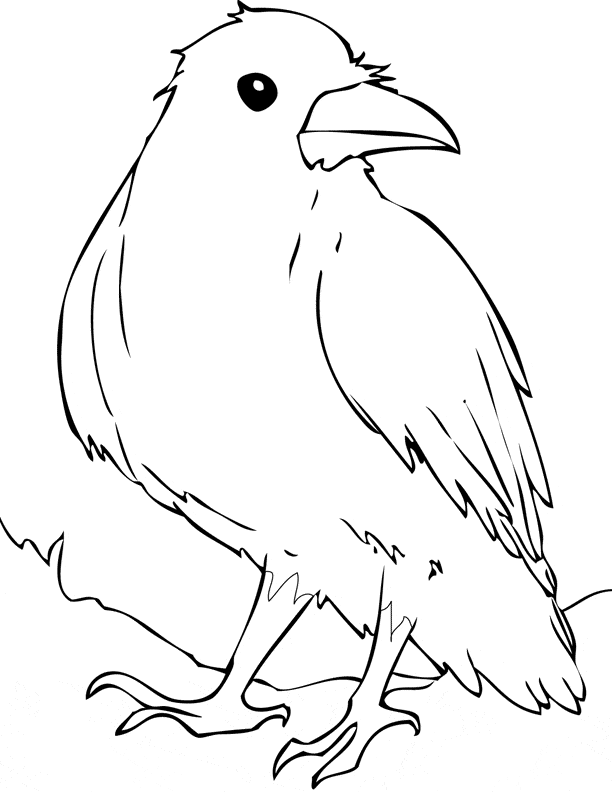 Raven coloring page