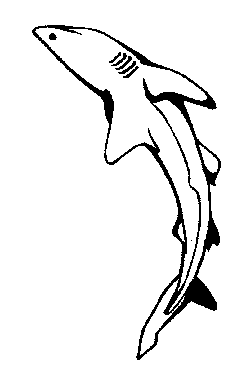 free Reef Shark coloring page