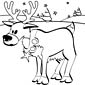 Reindeer coloring page