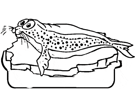 free Ringed Seal coloring page