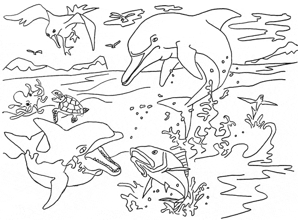 free River Dolphin coloring page