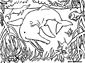 river dolphin coloring page