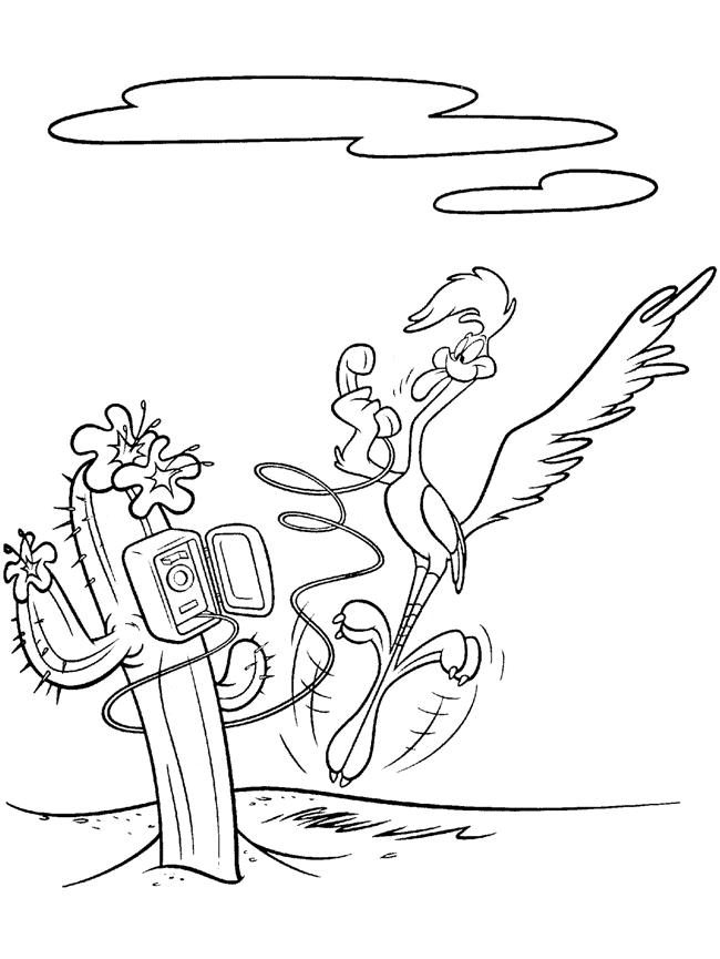 free Roadrunner coloring page
