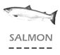 Salmon coloring page