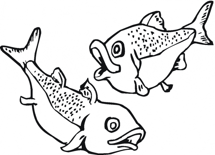 free Salmon coloring page