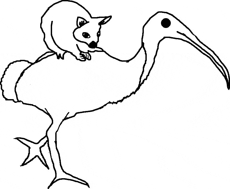 free Scarlet Ibis coloring page