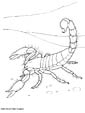 scorpion coloring page