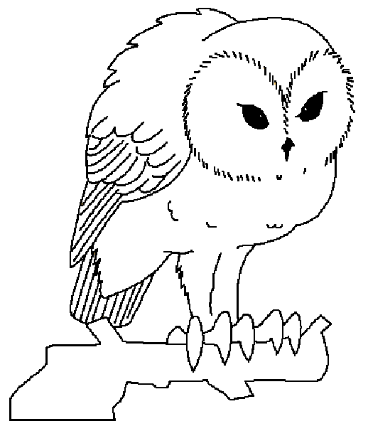free Screech Owl coloring page