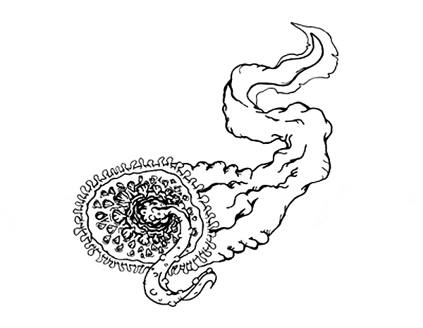 free Sea Lamprey coloring page