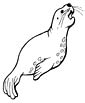 Sea Lion coloring page