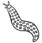 sea slug coloring page