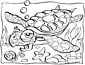 Sea Turtle coloring page