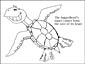 Sea Turtle coloring page