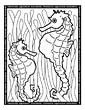 Seahorse coloring page