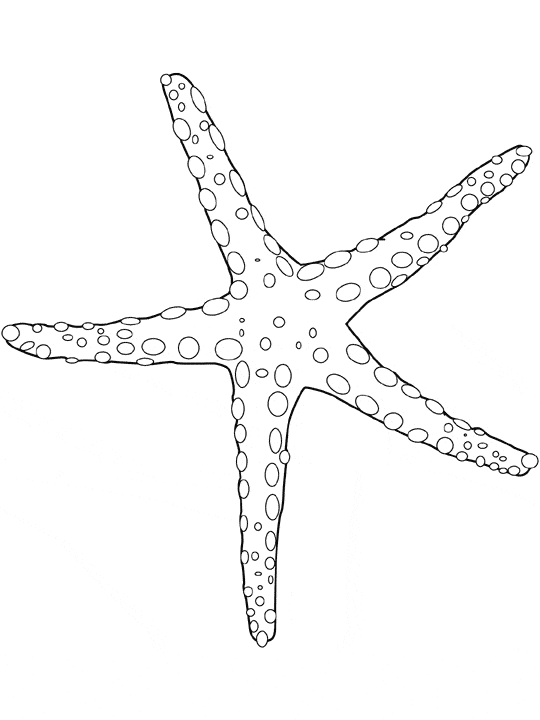 free Seastar coloring page