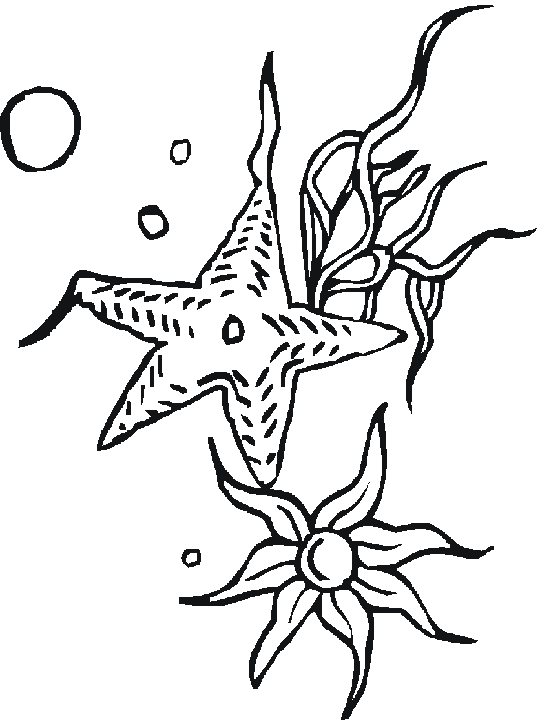 free Seastar coloring page