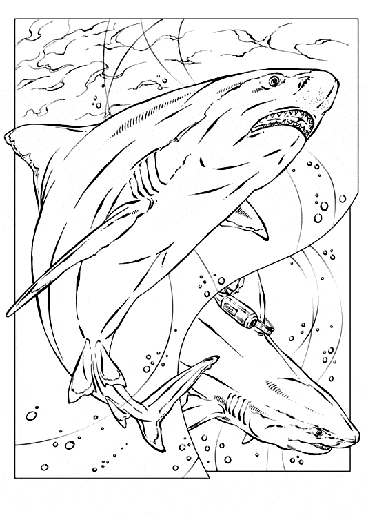 free Shark coloring page