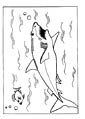 Shark coloring page