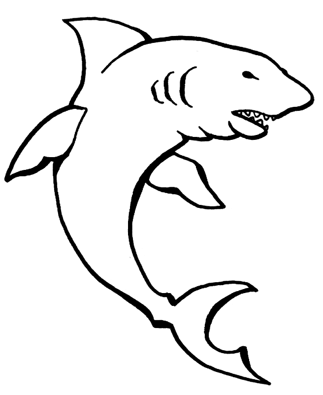 Shark coloring page - Animals Town - Free Shark color sheet