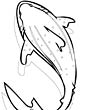 Shark coloring page